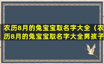 农历8月的兔宝宝取名字大全（农历8月的兔宝宝取名字大全男孩子取什么）