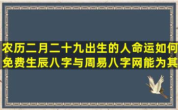 农历二月二十九出生的人命运如何免费生辰八字与周易八字网能为其提供哪些解读