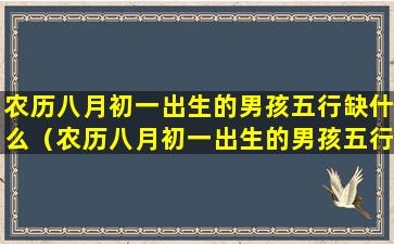 农历八月初一出生的男孩五行缺什么（农历八月初一出生的男孩五行缺什么属性）