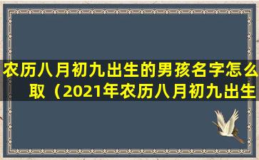 农历八月初九出生的男孩名字怎么取（2021年农历八月初九出生的宝宝名字）