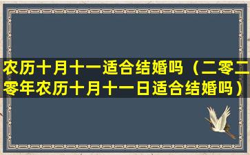 农历十月十一适合结婚吗（二零二零年农历十月十一日适合结婚吗）