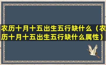 农历十月十五出生五行缺什么（农历十月十五出生五行缺什么属性）