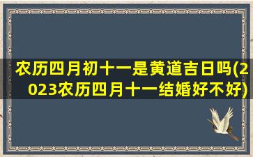 农历四月初十一是黄道吉日吗(2023农历四月十一结婚好不好)