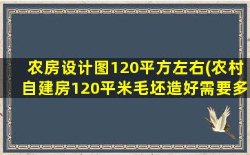 农房设计图120平方左右(农村自建房120平米毛坯造好需要多少钱)