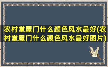 农村堂屋门什么颜色风水最好(农村堂屋门什么颜色风水最好图片)