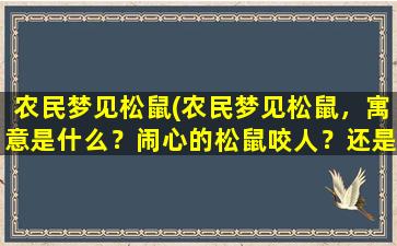 农民梦见松鼠(农民梦见松鼠，寓意是什么？闹心的松鼠咬人？还是抢粮食？)