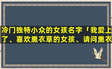 冷门独特小众的女孩名字「我爱上了、喜欢熏衣草的女孩、请问熏衣草代表什么意思」