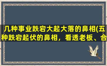 几种事业跌宕大起大落的鼻相(五种跌宕起伏的鼻相，看透老板、合伙人和员工的前途命运)