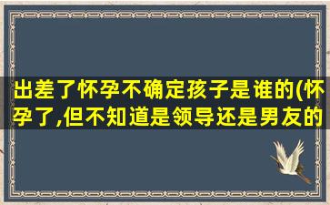 出差了怀孕不确定孩子是谁的(怀孕了,但不知道是领导还是男友的孩子,我该怎么办)