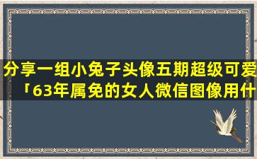 分享一组小兔子头像五期超级可爱「63年属免的女人微信图像用什么样的好」