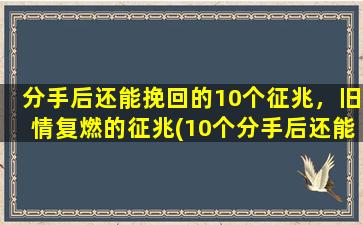 分手后还能挽回的10个征兆，旧情复燃的征兆(10个分手后还能挽回的征兆，征兆看到你的心跳还是那么快！)