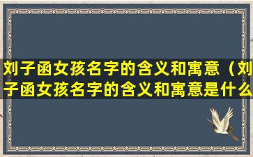 刘子函女孩名字的含义和寓意（刘子函女孩名字的含义和寓意是什么）