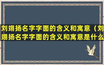 刘翊扬名字字面的含义和寓意（刘翊扬名字字面的含义和寓意是什么）