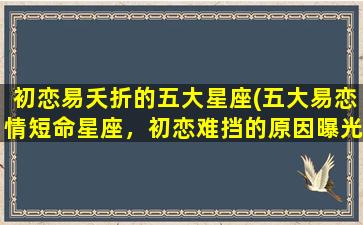 初恋易夭折的五大星座(五大易恋情短命星座，初恋难挡的原因曝光！)