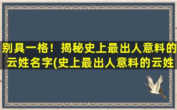 别具一格！揭秘史上最出人意料的云姓名字(史上最出人意料的云姓名字及揭秘)