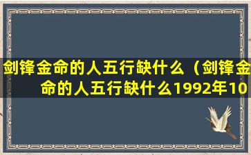 剑锋金命的人五行缺什么（剑锋金命的人五行缺什么1992年10月）