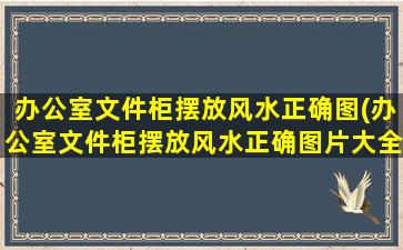 办公室文件柜摆放风水正确图(办公室文件柜摆放风水正确图片大全)