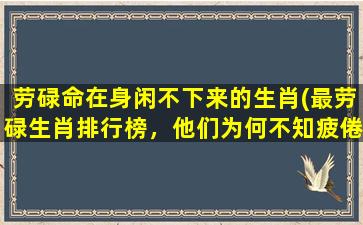 劳碌命在身闲不下来的生肖(最劳碌生肖排行榜，他们为何不知疲倦？)