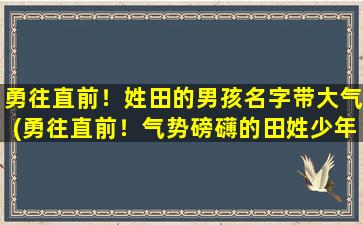 勇往直前！姓田的男孩名字带大气(勇往直前！气势磅礴的田姓少年名字大全)