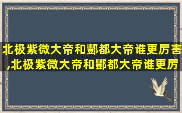 北极紫微大帝和酆都大帝谁更厉害,北极紫微大帝和酆都大帝谁更厉害一点