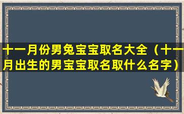 十一月份男兔宝宝取名大全（十一月出生的男宝宝取名取什么名字）