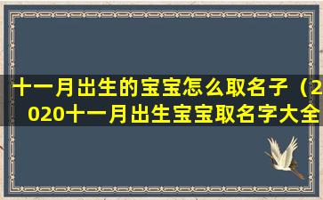 十一月岀生的宝宝怎么取名子（2020十一月出生宝宝取名字大全）