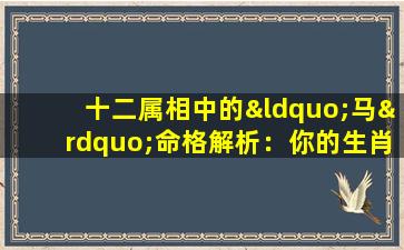 十二属相中的“马”命格解析：你的生肖马代表怎样的命运