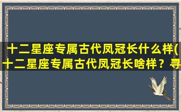 十二星座专属古代凤冠长什么样(十二星座专属古代凤冠长啥样？寻找星座守护之魂)