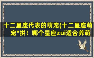 十二星座代表的萌宠(十二星座萌宠*拼！哪个星座zui适合养萌宠？)