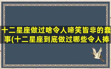 十二星座做过啥令人啼笑皆非的蠢事(十二星座到底做过哪些令人捧腹大笑的蠢事？)