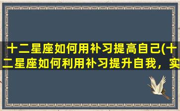 十二星座如何用补习提高自己(十二星座如何利用补习提升自我，实用技巧大揭秘！)