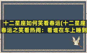 十二星座如何笑看春运(十二星座春运之笑看热闹：看谁在车上睡到正月十八！)