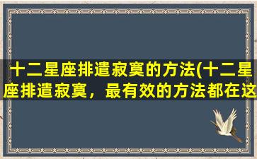 十二星座排遣寂寞的方法(十二星座排遣寂寞，最有效的方法都在这！)