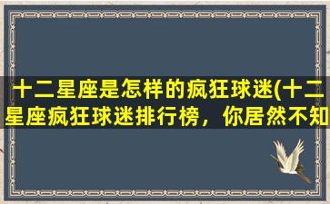 十二星座是怎样的疯狂球迷(十二星座疯狂球迷排行榜，你居然不知道di一名是TA！)