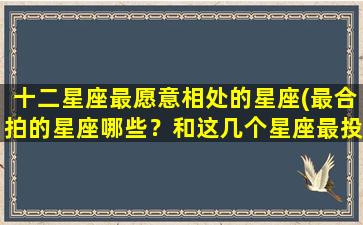 十二星座最愿意相处的星座(最合拍的星座哪些？和这几个星座最投缘)