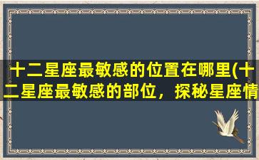 十二星座最敏感的位置在哪里(十二星座最敏感的部位，探秘星座情感世界)