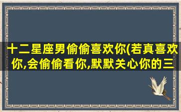 十二星座男偷偷喜欢你(若真喜欢你,会偷偷看你,默默关心你的三大星座男是哪几个)