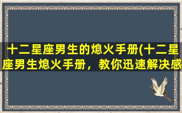 十二星座男生的熄火手册(十二星座男生熄火手册，教你迅速解决感情问题！)