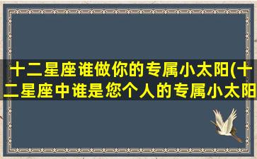 十二星座谁做你的专属小太阳(十二星座中谁是您个人的专属小太阳？)