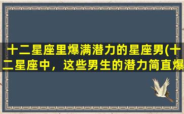 十二星座里爆满潜力的星座男(十二星座中，这些男生的潜力简直爆表！)