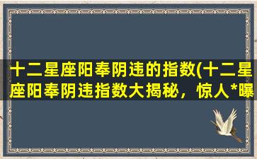 十二星座阳奉阴违的指数(十二星座阳奉阴违指数大揭秘，惊人*曝光！)