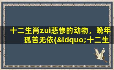 十二生肖zui悲惨的动物，晚年孤苦无依(“十二生肖动物，晚年孤苦无依的zui悲惨故事”)