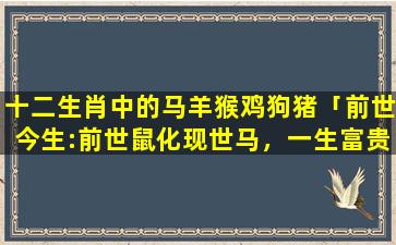 十二生肖中的马羊猴鸡狗猪「前世今生:前世鼠化现世马，一生富贵又荣华。到了年近二三十，金榜题名展风华。什么意思」