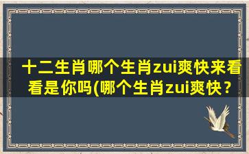 十二生肖哪个生肖zui爽快来看看是你吗(哪个生肖zui爽快？快来看看是你吗！)