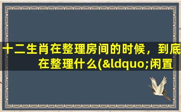 十二生肖在整理房间的时候，到底在整理什么(“闲置物品清理攻略，十二生肖的整理心得分享！”)