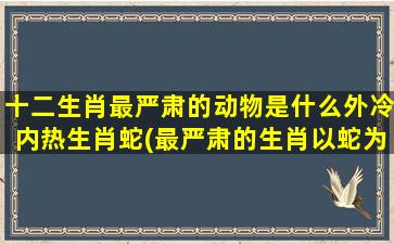 十二生肖最严肃的动物是什么外冷内热生肖蛇(最严肃的生肖以蛇为首，看看十二生肖中其他哪些动物也非常严肃)