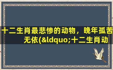 十二生肖最悲惨的动物，晚年孤苦无依(“十二生肖动物，晚年孤苦无依的最悲惨故事”)