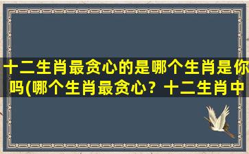 十二生肖最贪心的是哪个生肖是你吗(哪个生肖最贪心？十二生肖中谁最爱财？)