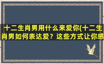 十二生肖男用什么来爱你(十二生肖男如何表达爱？这些方式让你感受到真情实意！)