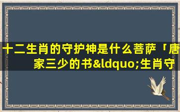 十二生肖的守护神是什么菩萨「唐家三少的书“生肖守护神”有没人看过觉得写的怎么样」